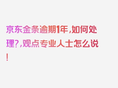 京东金条逾期1年,如何处理?，观点专业人士怎么说！