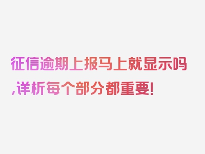 征信逾期上报马上就显示吗，详析每个部分都重要！