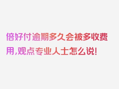 倍好付逾期多久会被多收费用，观点专业人士怎么说！