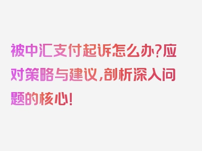 被中汇支付起诉怎么办?应对策略与建议，剖析深入问题的核心！