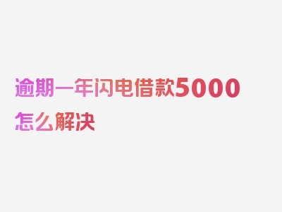 逾期一年闪电借款5000怎么解决