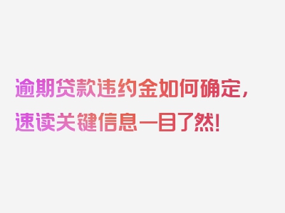 逾期贷款违约金如何确定，速读关键信息一目了然！