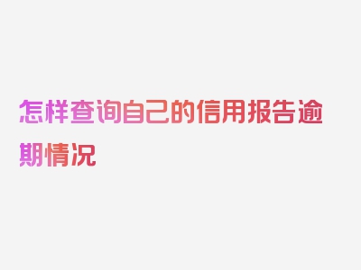 怎样查询自己的信用报告逾期情况