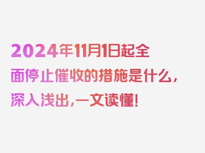 2024年11月1日起全面停止催收的措施是什么，深入浅出，一文读懂！