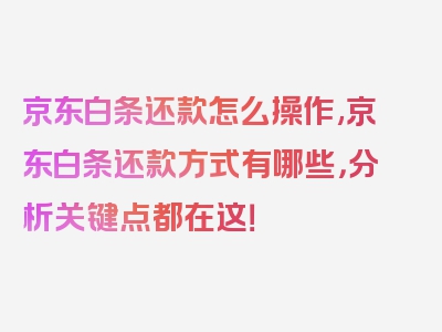 京东白条还款怎么操作,京东白条还款方式有哪些，分析关键点都在这！