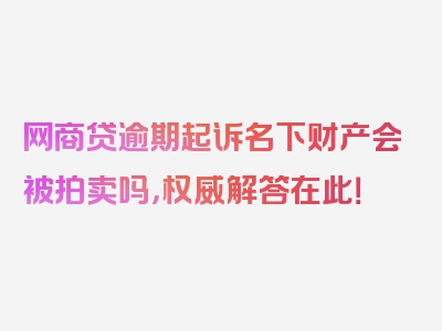 网商贷逾期起诉名下财产会被拍卖吗，权威解答在此！