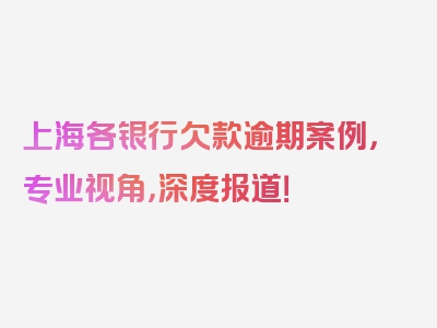 上海各银行欠款逾期案例，专业视角，深度报道！