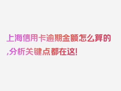 上海信用卡逾期金额怎么算的，分析关键点都在这！