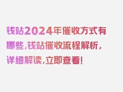 钱站2024年催收方式有哪些,钱站催收流程解析，详细解读，立即查看！