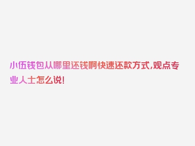 小伍钱包从哪里还钱啊快速还款方式，观点专业人士怎么说！