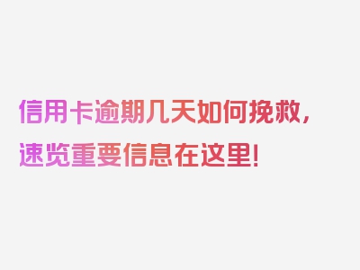 信用卡逾期几天如何挽救，速览重要信息在这里！