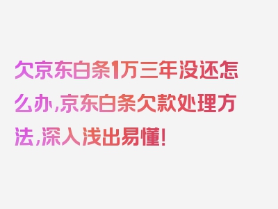 欠京东白条1万三年没还怎么办,京东白条欠款处理方法,深入浅出易懂！