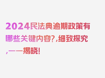 2024民法典逾期政策有哪些关键内容?，细致探究，一一揭晓！