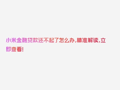 小米金融贷款还不起了怎么办，精准解读，立即查看！