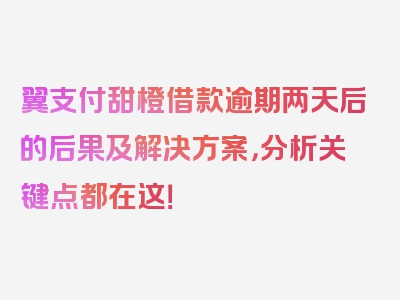 翼支付甜橙借款逾期两天后的后果及解决方案，分析关键点都在这！