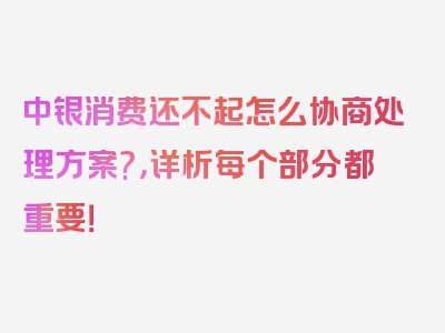 中银消费还不起怎么协商处理方案?，详析每个部分都重要！