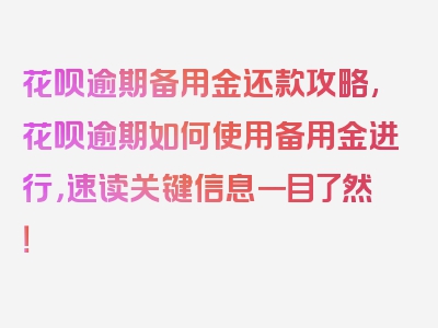 花呗逾期备用金还款攻略,花呗逾期如何使用备用金进行，速读关键信息一目了然！