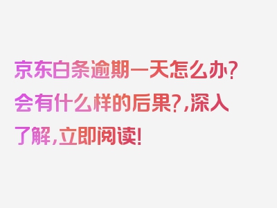 京东白条逾期一天怎么办?会有什么样的后果?，深入了解，立即阅读！