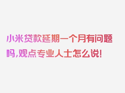 小米贷款延期一个月有问题吗，观点专业人士怎么说！