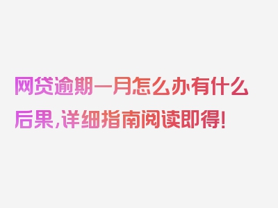 网贷逾期一月怎么办有什么后果,详细指南阅读即得！