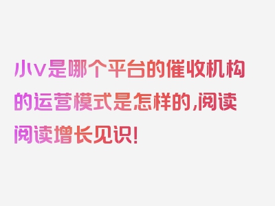 小v是哪个平台的催收机构的运营模式是怎样的,阅读阅读增长见识！