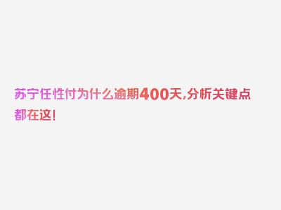 苏宁任性付为什么逾期400天，分析关键点都在这！