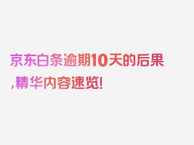 京东白条逾期10天的后果，精华内容速览！