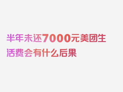 半年未还7000元美团生活费会有什么后果