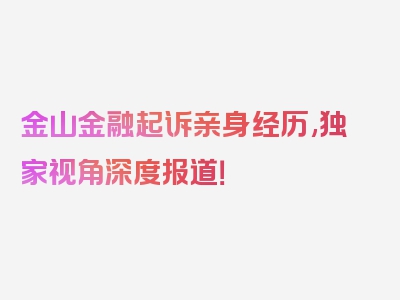 金山金融起诉亲身经历,独家视角深度报道！