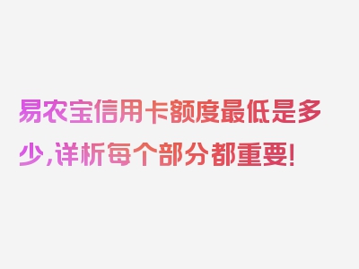 易农宝信用卡额度最低是多少，详析每个部分都重要！