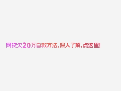 网贷欠20万自救方法，深入了解，点这里！