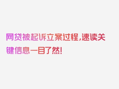 网贷被起诉立案过程，速读关键信息一目了然！