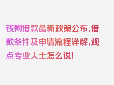 钱网借款最新政策公布,借款条件及申请流程详解，观点专业人士怎么说！