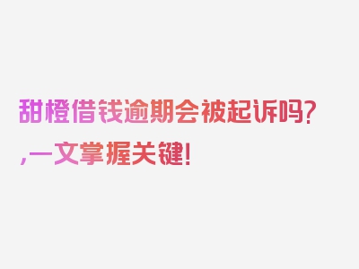 甜橙借钱逾期会被起诉吗?，一文掌握关键！