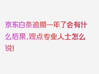 京东白条逾期一年了会有什么后果，观点专业人士怎么说！