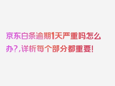 京东白条逾期1天严重吗怎么办?，详析每个部分都重要！