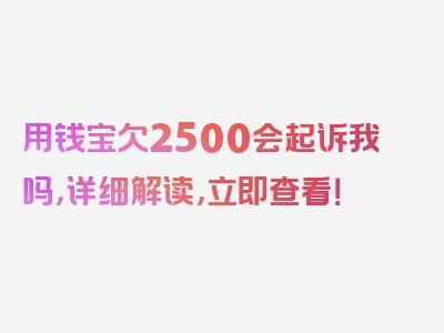 用钱宝欠2500会起诉我吗，详细解读，立即查看！