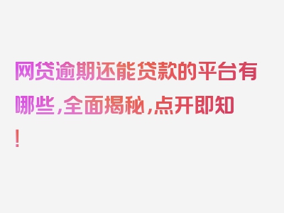 网贷逾期还能贷款的平台有哪些，全面揭秘，点开即知！