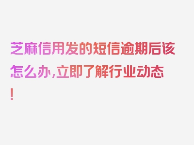 芝麻信用发的短信逾期后该怎么办,立即了解行业动态！