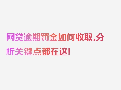 网贷逾期罚金如何收取，分析关键点都在这！