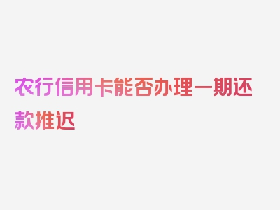 农行信用卡能否办理一期还款推迟