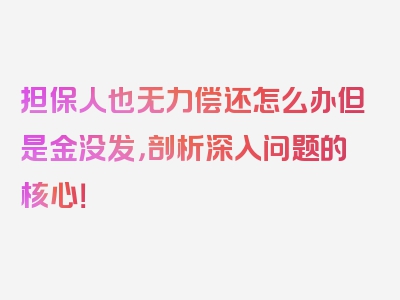 担保人也无力偿还怎么办但是金没发，剖析深入问题的核心！