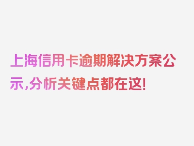 上海信用卡逾期解决方案公示，分析关键点都在这！