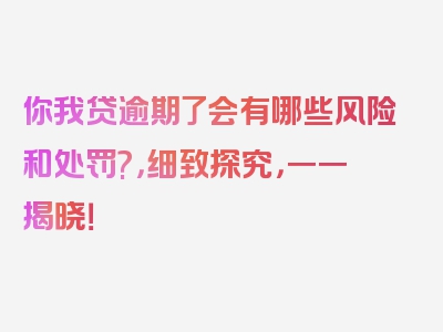 你我贷逾期了会有哪些风险和处罚?，细致探究，一一揭晓！