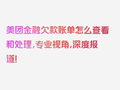 美团金融欠款账单怎么查看和处理，专业视角，深度报道！