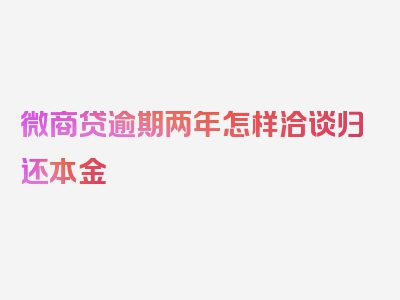 微商贷逾期两年怎样洽谈归还本金