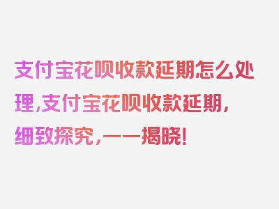 支付宝花呗收款延期怎么处理,支付宝花呗收款延期，细致探究，一一揭晓！