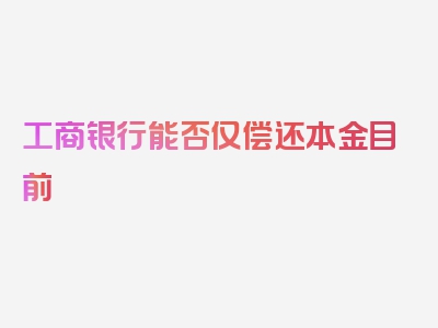 工商银行能否仅偿还本金目前