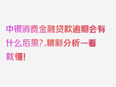 中银消费金融贷款逾期会有什么后果?,精彩分析一看就懂！