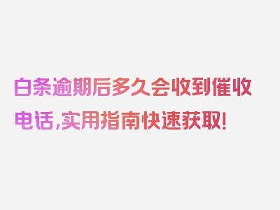 白条逾期后多久会收到催收电话,实用指南快速获取！